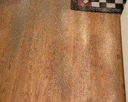 imgi_119_thumbnail