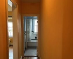 imgi_26_258s