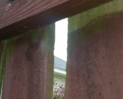 imgi_52_348s